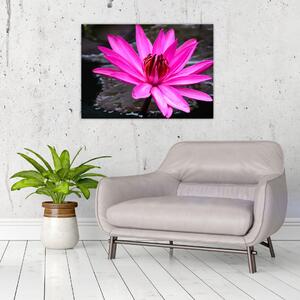 Slika - ružičasti cvijet (70x50 cm)