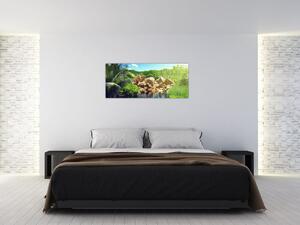 Slika jezera u džungli Sejšela (120x50 cm)