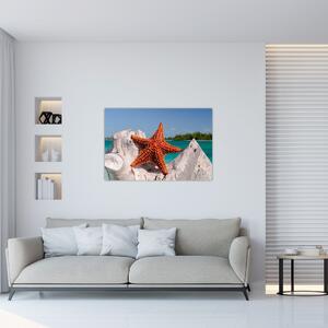 Slika morske zvijezde (90x60 cm)