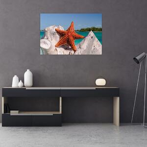Slika morske zvijezde (90x60 cm)