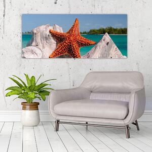 Slika morske zvijezde (120x50 cm)