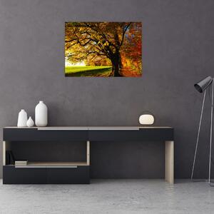 Slika jesenskog stabla (70x50 cm)