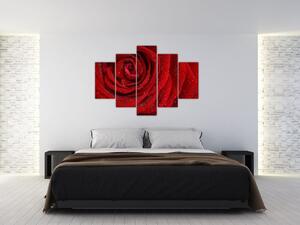 Slika - detalj ruže (150x105 cm)