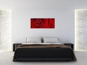 Slika - detalj ruže (120x50 cm)