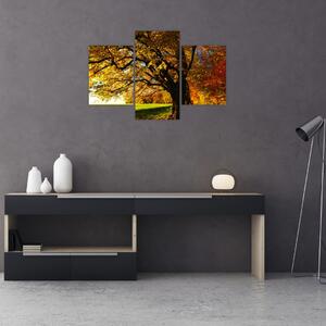 Slika jeseni (90x60 cm)