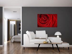 Slika - detalj ruže (90x60 cm)