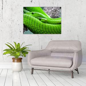 Slika zelenih zmija (70x50 cm)