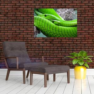 Slika zelenih zmija (90x60 cm)