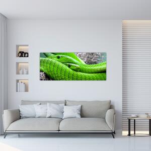 Slika zelenih zmija (120x50 cm)