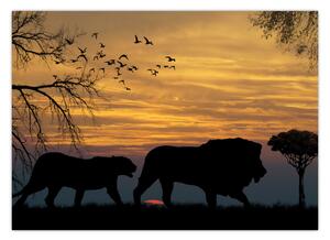 Safari slika (70x50 cm)