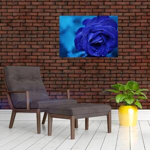 Slika plave ruže (70x50 cm)