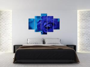 Slika plave ruže (150x105 cm)