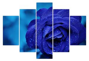 Slika plave ruže (150x105 cm)