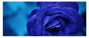 Slika plave ruže (120x50 cm)