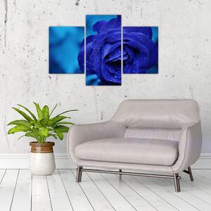 Slika plave ruže (90x60 cm)