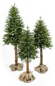 Umjetni bor - Exclusive na prirodnom panju - 150cm