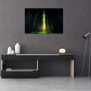 Slika mračne šume (90x60 cm)