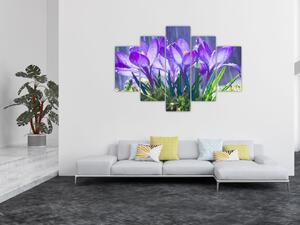 Slika cvijeća na kiši (150x105 cm)