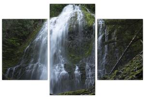 Slika vodopada (90x60 cm)