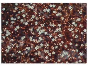 Slika cvijeta šumske potočnice (70x50 cm)