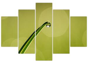 Slika kapi vode na travi (150x105 cm)