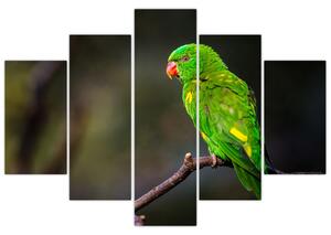 Slika papige na grani (150x105 cm)