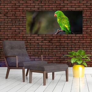 Slika papige na grani (120x50 cm)