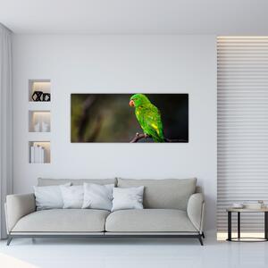 Slika papige na grani (120x50 cm)