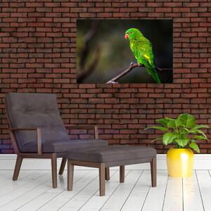 Slika papige na grani (90x60 cm)