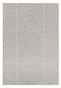 Svijetlo sivi tepih 120x170 cm Muse – Asiatic Carpets