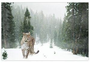 Slika leoparda u snijegu (90x60 cm)