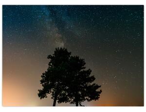 Slika noćnog neba s drvećem (70x50 cm)