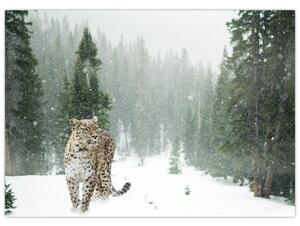 Slika leoparda u snijegu (70x50 cm)