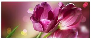 Slika ružičastih tulipana (120x50 cm)