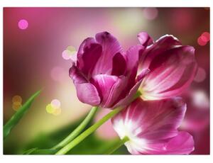 Slika ružičastih tulipana (70x50 cm)