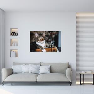 Slika mačke (90x60 cm)