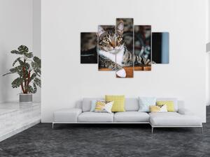Slika mačke (150x105 cm)