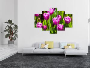 Slika tulipana na livadi (150x105 cm)