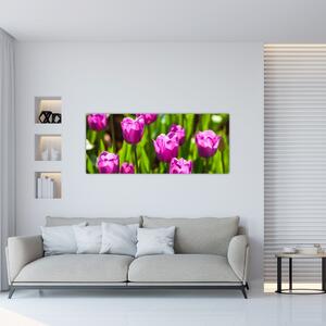 Slika tulipana na livadi (120x50 cm)