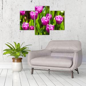 Slika tulipana na livadi (90x60 cm)