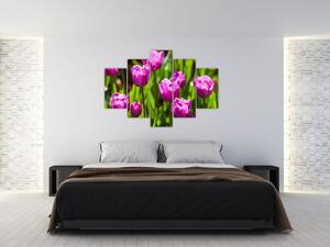 Slika tulipana na livadi (150x105 cm)