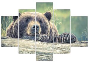Slika medvjeda (150x105 cm)