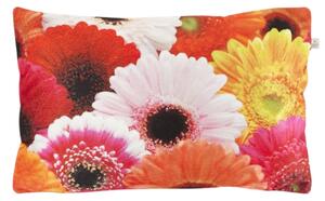 Dekorativna navlaka za jastuk SAMARA GERBERA 30x50 cm, šarena