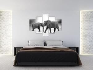 Slika slonova (150x105 cm)