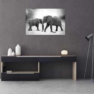 Slika slonova (90x60 cm)