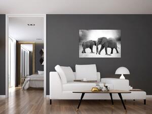 Slika slonova (90x60 cm)