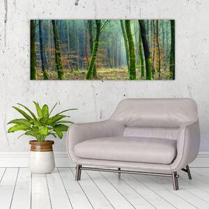 Slika šume (120x50 cm)