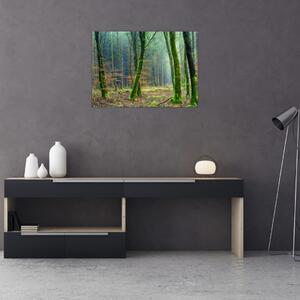 Slika šume (70x50 cm)