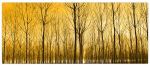 Slika šume pri zalasku sunca (120x50 cm)
