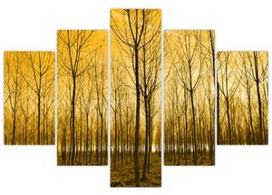 Slika šume pri zalasku sunca (150x105 cm)